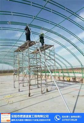 湖北地区温室大棚建设工程设计要点与实施策略